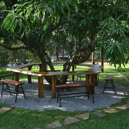 Scenic Acres Holiday Home Chikmagalūr Kültér fotó
